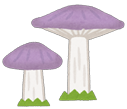 毒きのこ2