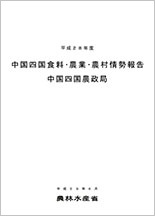 H28情勢報告_表紙