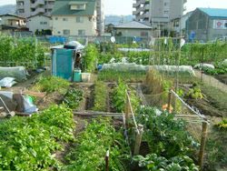 住宅地近くの市民農園