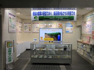 展示画像