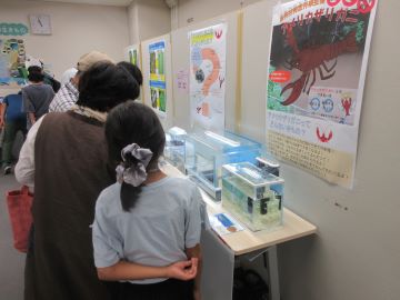 水生生物の展示を見る来場者