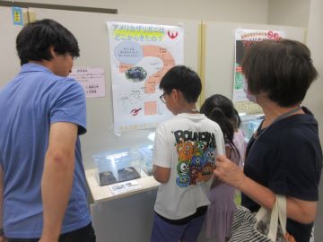 水生生物を観察する親子