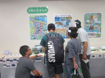 水生生物の展示を見る来場者
