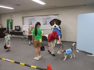 仕事のデモンストレーションを行う動植物検疫探知犬