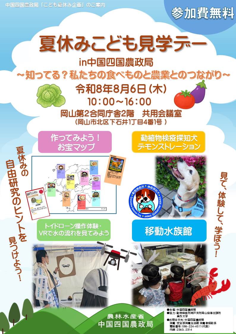 表面