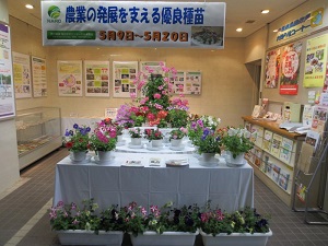消費者の部屋写真
