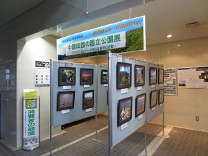 消費者の部屋写真