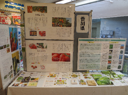 消費者の部屋写真3