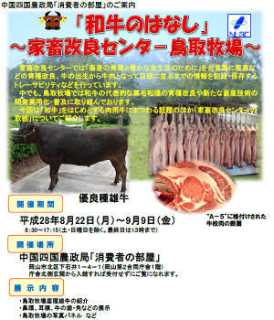 消費者の部屋チラシ