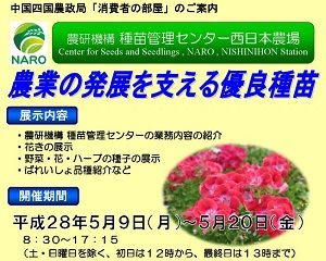 消費者の部屋チラシ