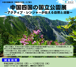 消費者の部屋チラシ