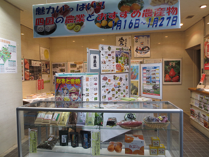 消費者の部屋写真1