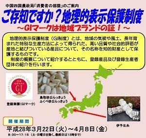 消費者の部屋チラシ