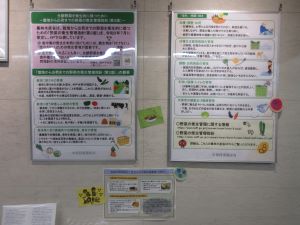 展示画像