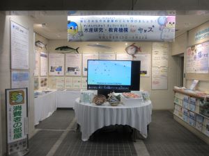 展示状況