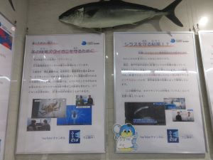 展示状況