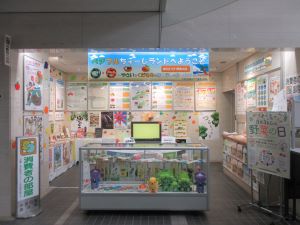 展示状況