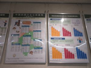 展示状況