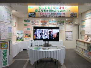 展示状況