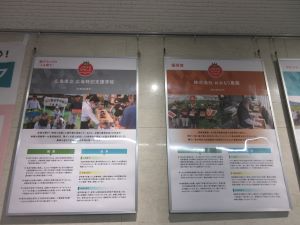 展示状況