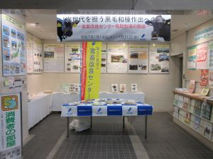 展示状況