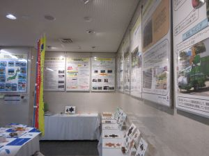 展示状況