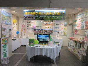 展示状況