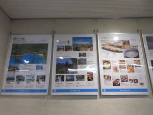 展示状況