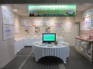 展示画像