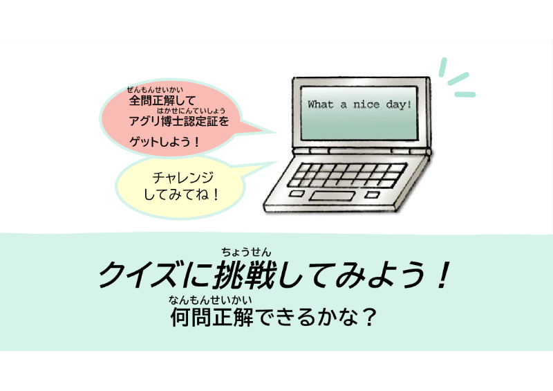 クイズ