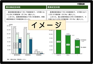 掲載資料のイメージ