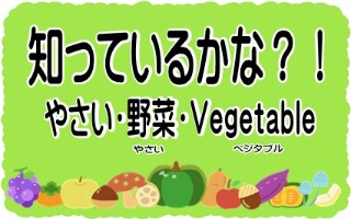 知ってるいるかな？！やさい野菜vegetable