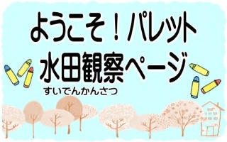 ようこそパレット水田観察ページ