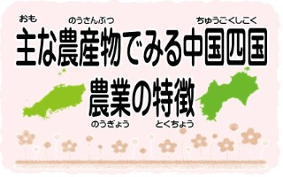 主な農産物でみる中国四国農業の特徴