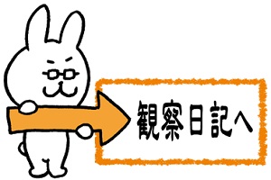 観察日記へ