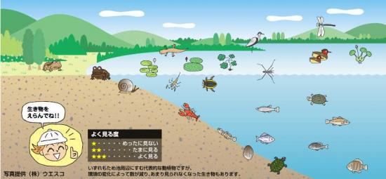 動植物の生活の場所として