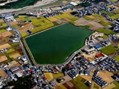 皿池の一例
