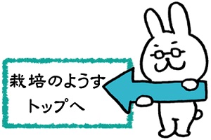 栽培のようすトップへ