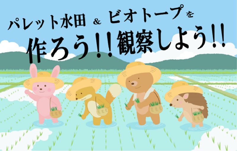 つくろう!!観察しよう!!