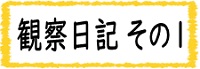 観察日記　その１