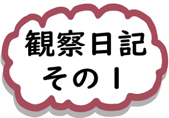 観察日記その１