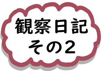 観察日記その２