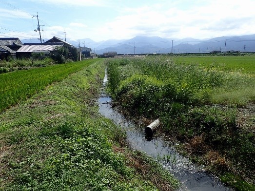 土水路の保全