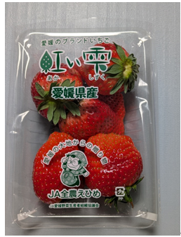 愛媛県産ブランドいちご