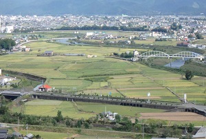 不整形な区画の農地の写真