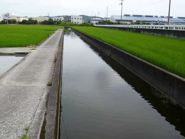 大きく直線的に整備された排水路の事例写真