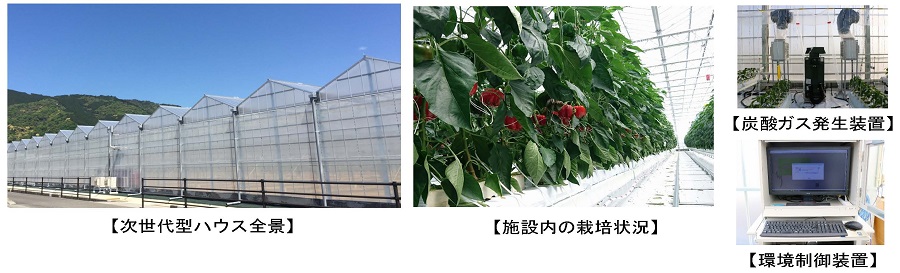 次世代型ハウスの全景及び内部状況写真