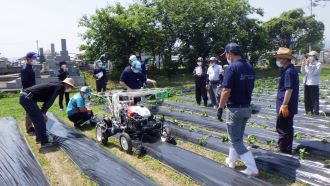 カンショ苗移植機の実演状況