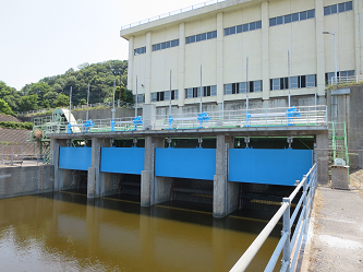 流入ゲート