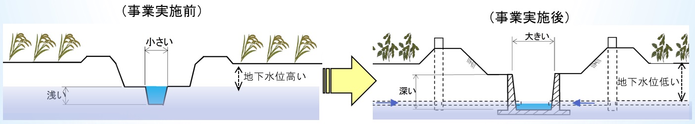 排水対策の強化イメージ図(事業の実施前後)